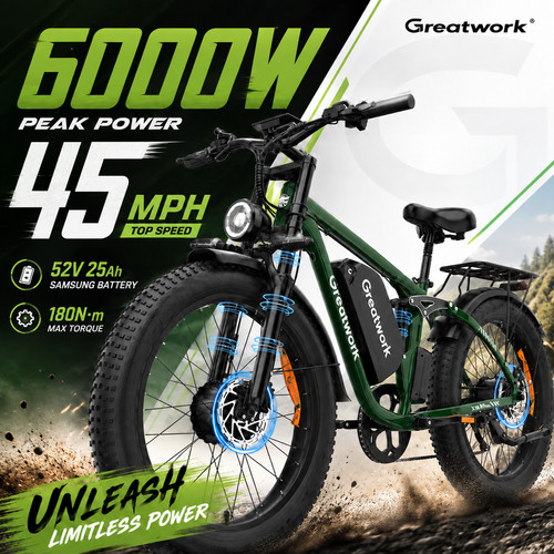 6000w dual motor - dual, electric